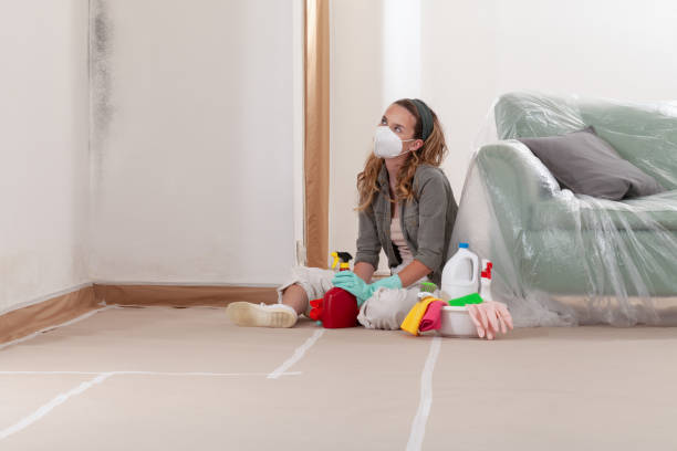 Reliable Mold Remediation contractor in Katy, TX by 24 Hour Mold Removal